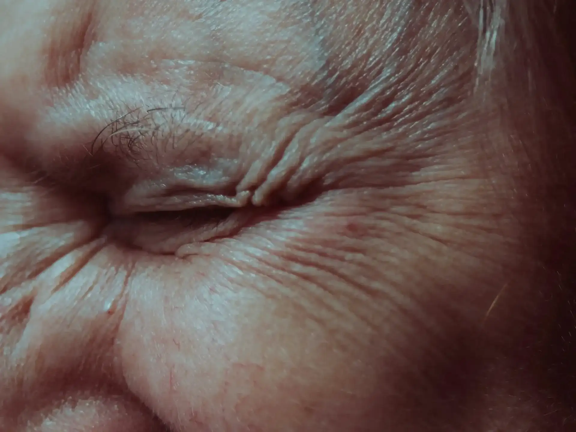 Close-up of the fine lines fanning out from the outer corner of the eye, known as crow's feet